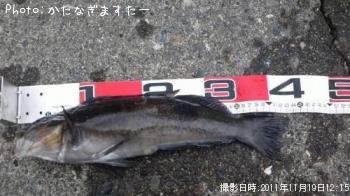 ʥ