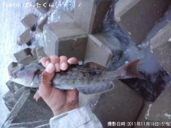ʥ