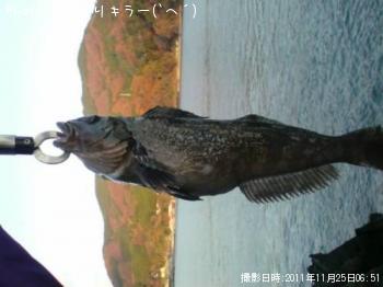 ʥ