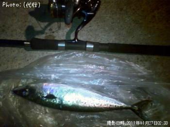 サバ