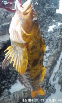 ʥ