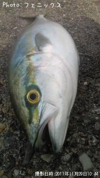 ʥ