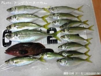 アジ