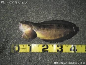 糤