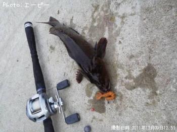 ʥ