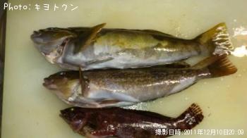 ʥ