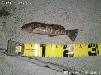 ʥ