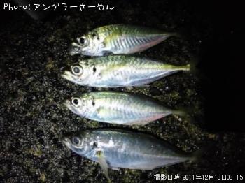 アジ