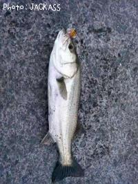 Х