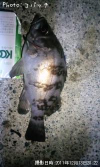 Х
