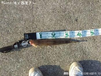 エソ