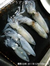 ヒイカ