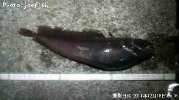 ʥ