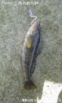 ʥ