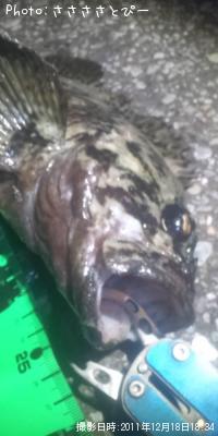 ソイ