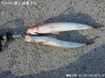 エソ