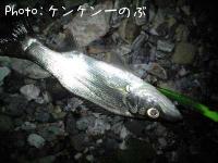 スズキ