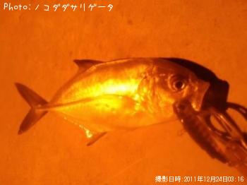 メッキ