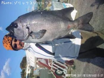 石鯛