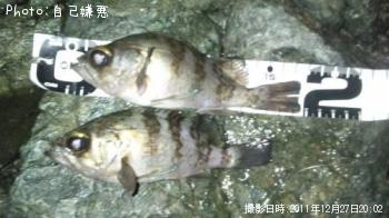 Х롥