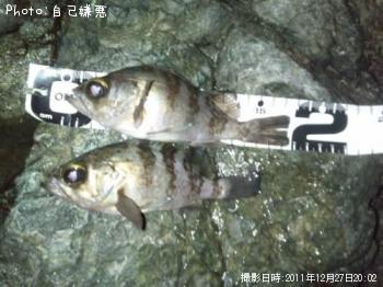 Х롥