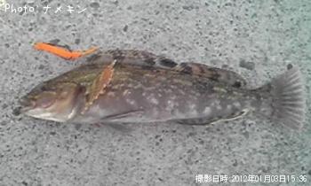 ʥ