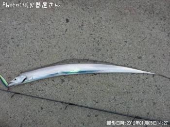 タチウオ