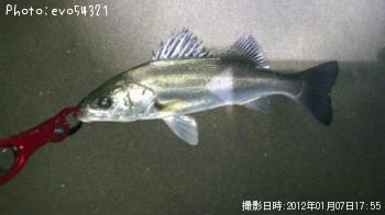 Х