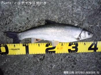 マルタ