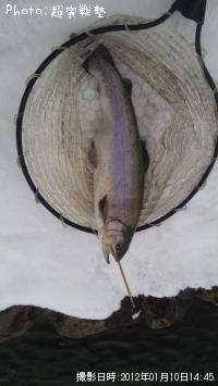 쥤ܡȥ饦