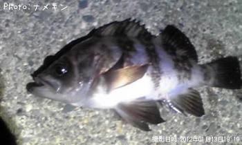 Х뷯