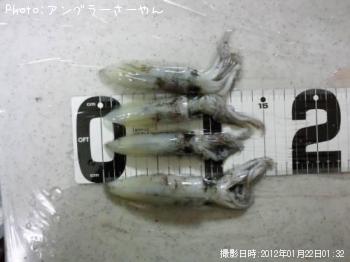 ヒイカ
