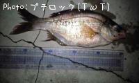 ʥ
