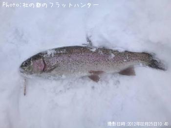 åȥ饦