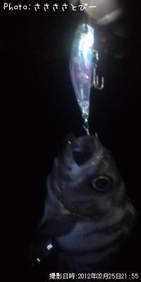 Х