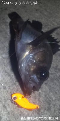 クリアメバル