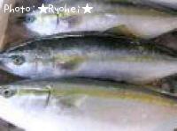 ʥ