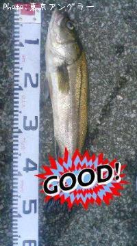 Х