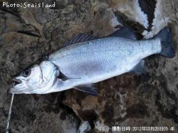 ҥ饹