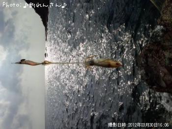 屨±