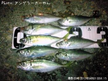 アジ