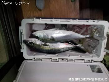 ʥ饵