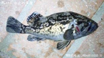 クロソイ
