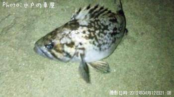 クロソイ