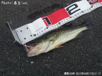 ブラックバス