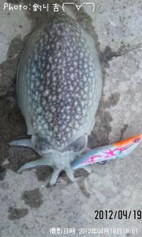 䥱
