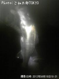 Х