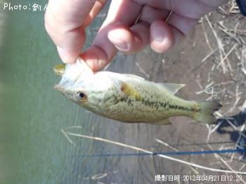 顼ޥХ