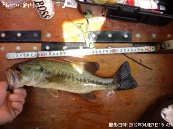 ブラックバス