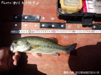 ブラックバス